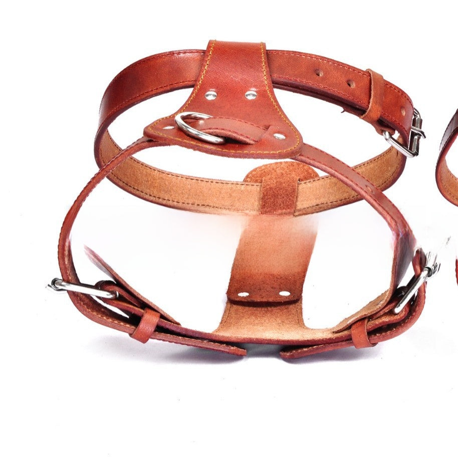 Brown leather dog chest harness with adjustable chest and neck straps, view 3