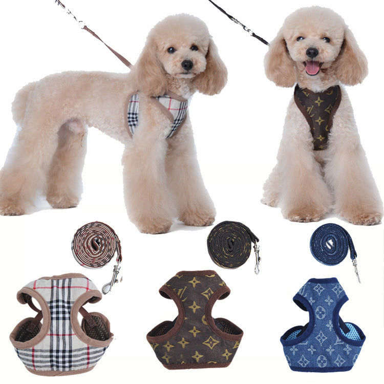 Printed plaid harness and lead set on a kitten