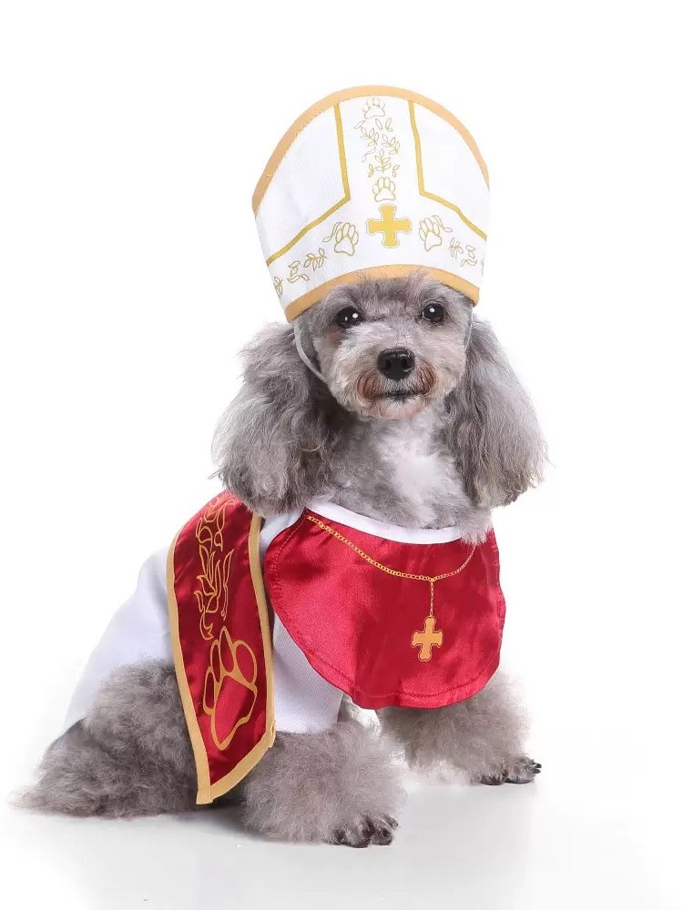 Small dog dressed in a gangster style suit and cape