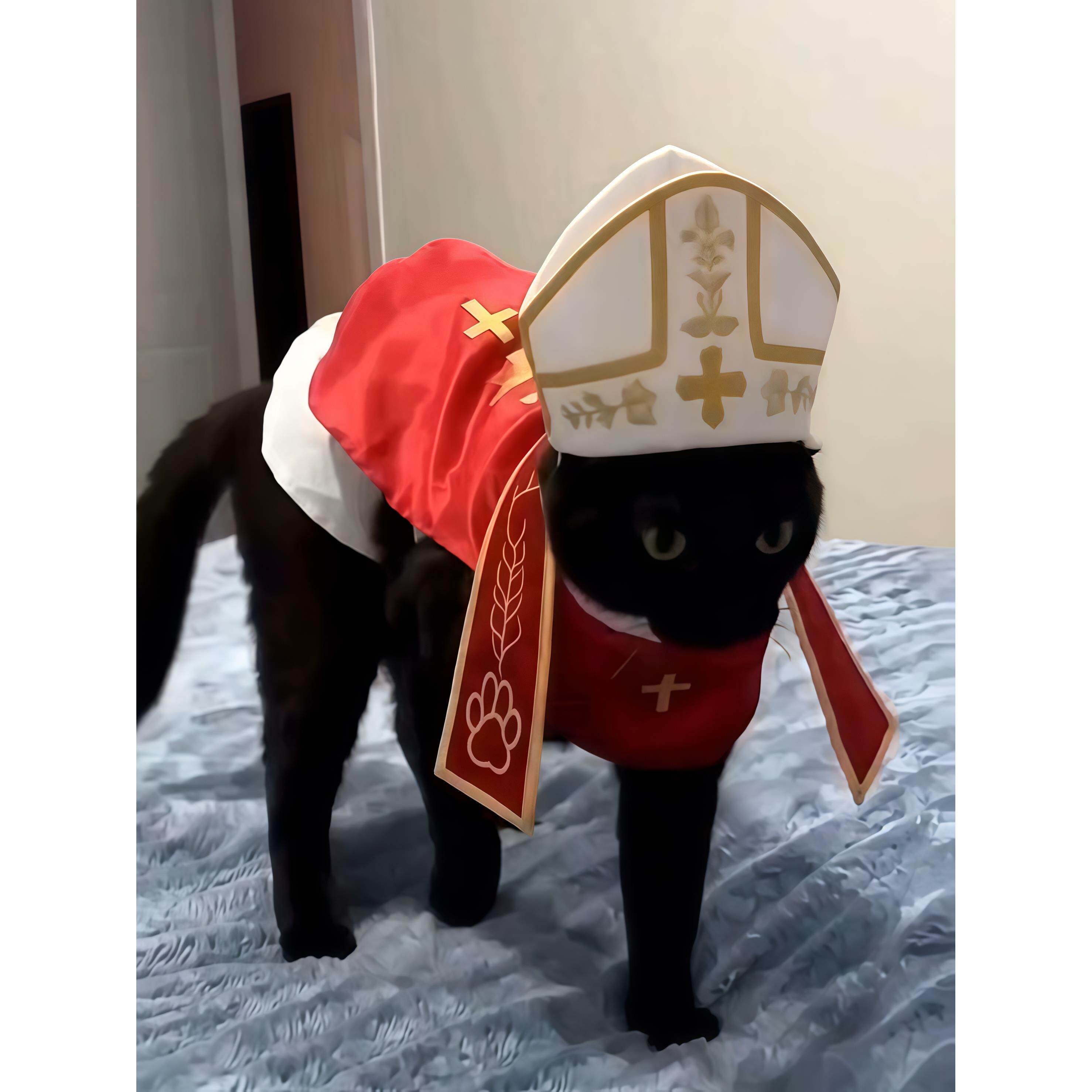 Gangster style suit pet costume with a matching hat