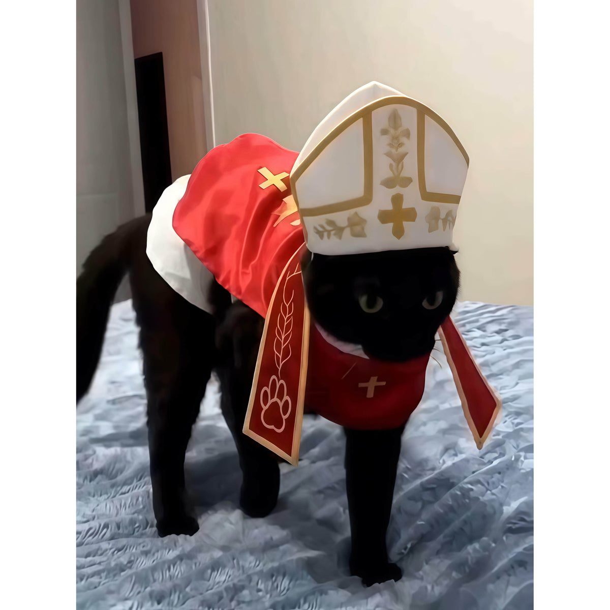 Gangster style suit pet costume with a matching hat