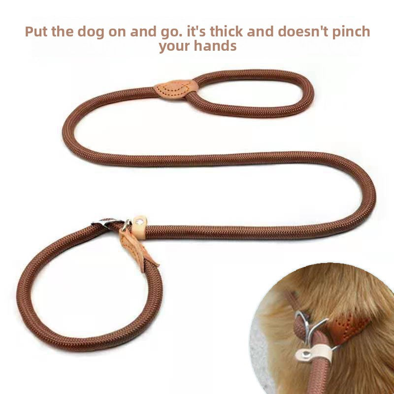 Braided rope dog leads in five colours and lengths