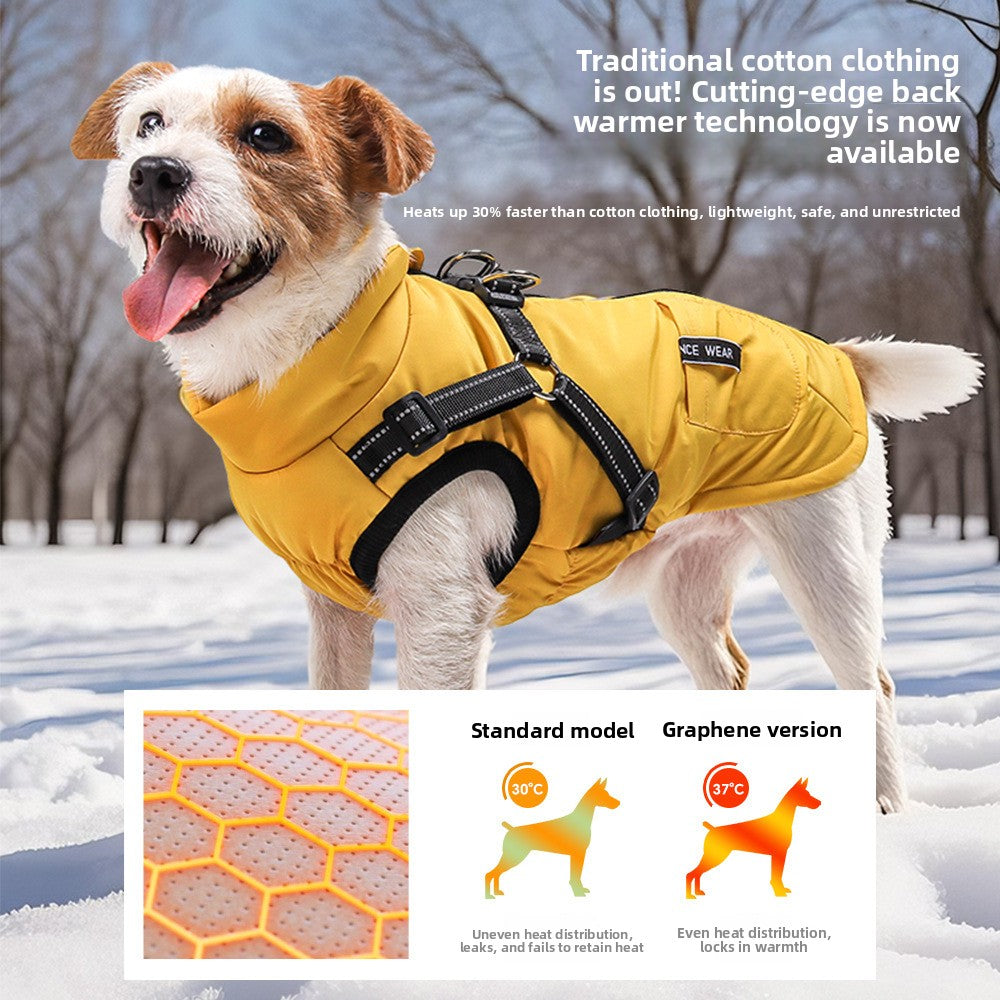 Small dog wearing a grey padded winter gilet