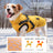 Small dog wearing a grey padded winter gilet