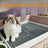 Black and white flat rabbit litter tray with grid
