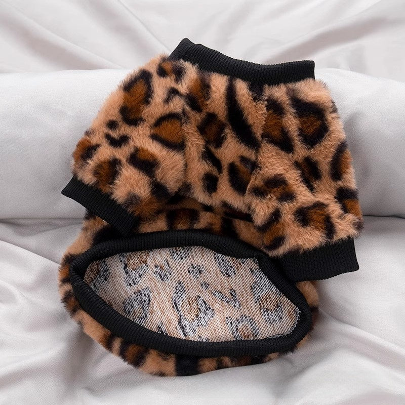 Leopard print sweatshirt for small dogs and cats in Leopard Print, front view