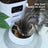 Automatic Pet Feeder