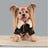 Thick flannel dog jacket with faux fur collar in Brown, side view