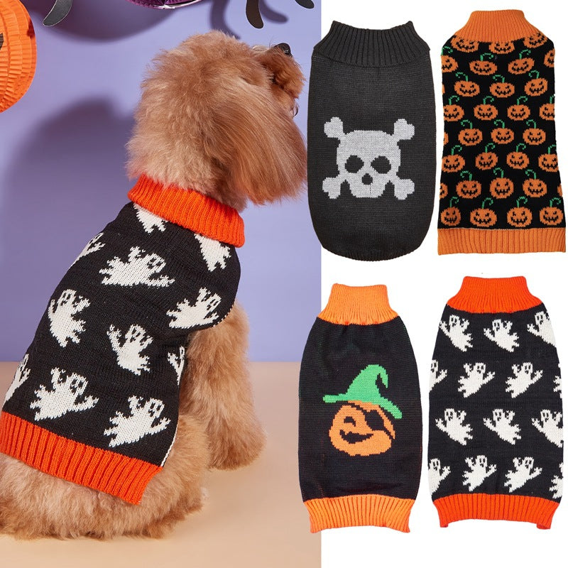 Orange pumpkin print knitted jumper on a small dog