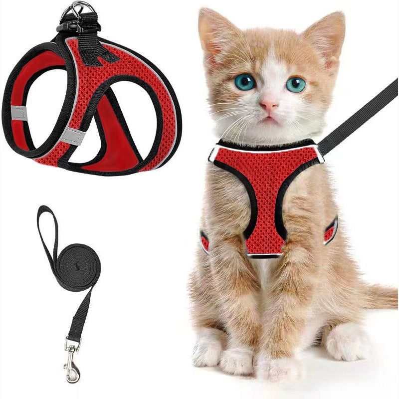 Mesh harnesses for cats and small dogs in eleven colours
