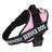 Colourful no choke dog harness and lead set for puppies to large dogs