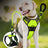 Reflective burst-resistant dog harness, 4 sizes available from Pet Royale UK