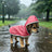 Reversible reflective dog raincoat, available in 2 colours, sizes Extra Small to 5XL, image 2