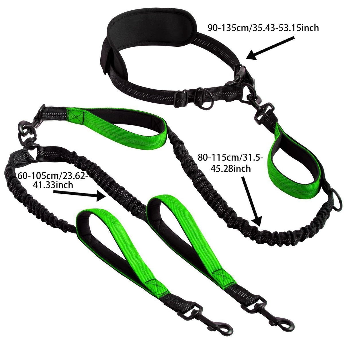 Hands-free double dog lead with bungee buffer, ideal for everyday use