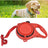 3-in-1 dog lead with built-in water bottle handle, product image 8