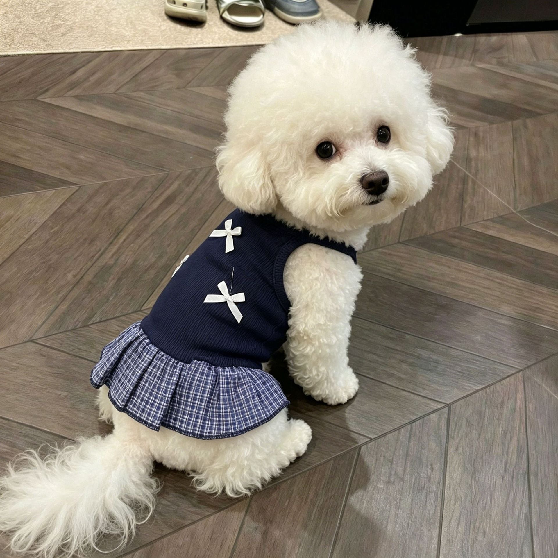 Lightweight blue pet vest dress with three small bows