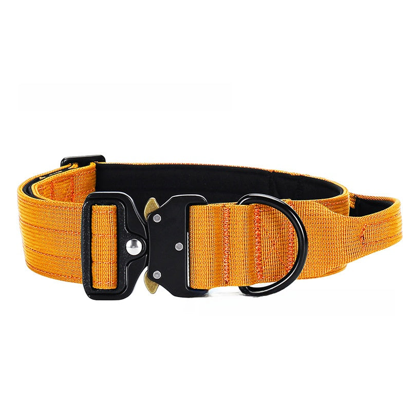 Tactical nylon dog collar with cobra buckle in Dark Green, in use with a pet