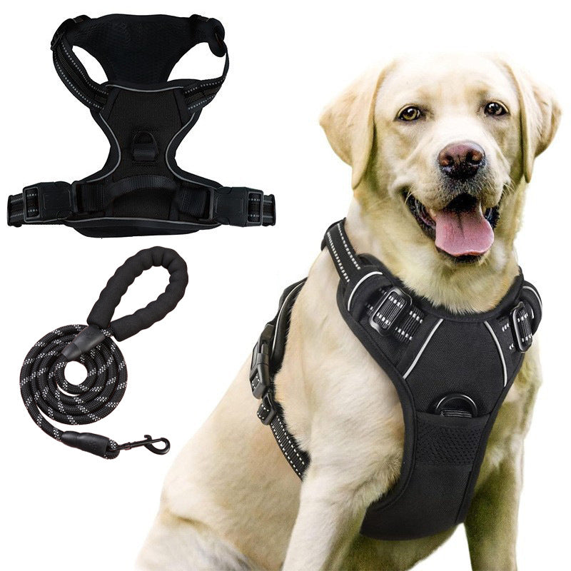 Burst proof dog harness shown in bright colours with round rope lead
