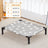 Raised pet cot with breathable mesh for cats and dogs