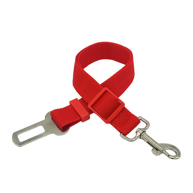Nylon dog car seat belt lead, close-up detail view