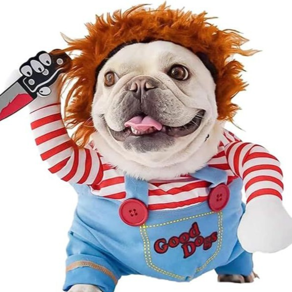 Small dog in a spooky Halloween costume with prop knife