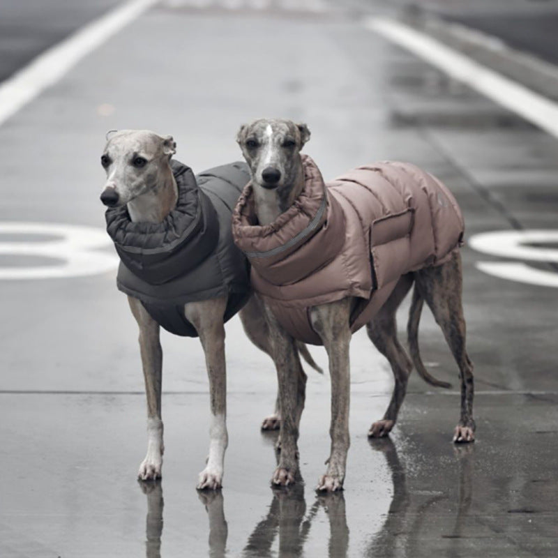 Waterproof padded dog coat with metal buckles, available in 3 colours, image 4