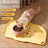 Special Placemats for Pets Waterproof Non Slip Cat Bowl Food Mat Dog Large Cat Eating Mat Dinner Plate Cat Food Bowl Mat