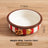 Hand-Painted Ceramic Pet Bowl with Anti-Spill Design