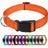 Reflective nylon dog collar, ideal for everyday use