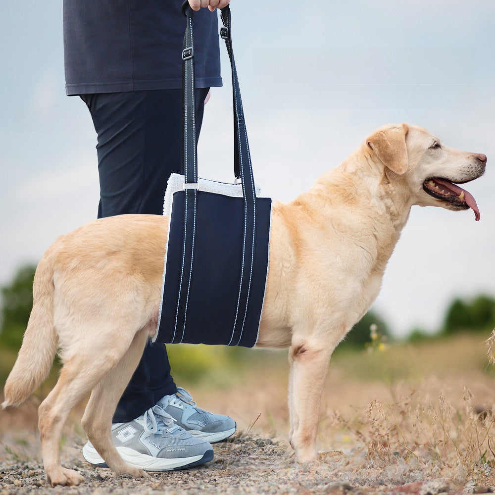Dog support and lifting harness, ideal for lifting and mobility support