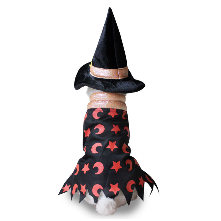 Small dog in a Christmas penguin costume with velcro fastening