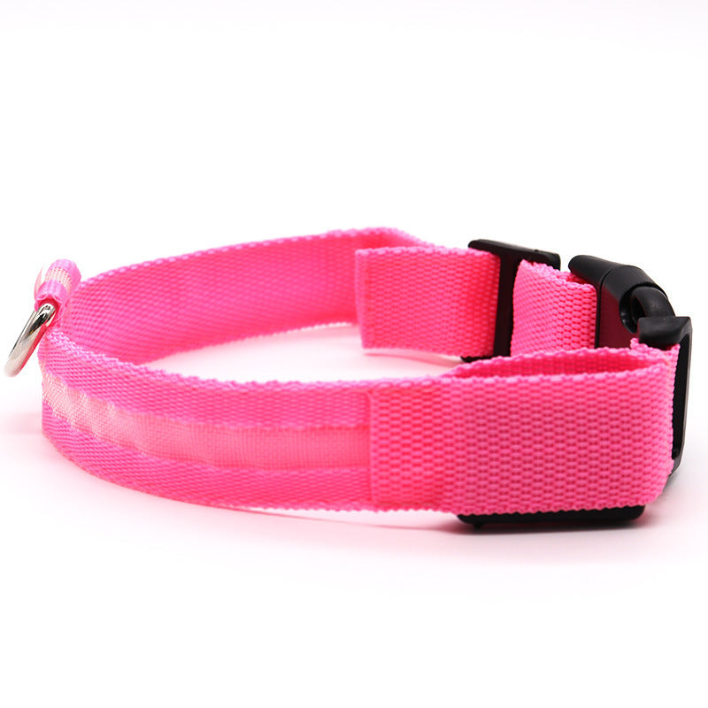 Light up pet collar with breakaway clasp glowing at night, product image 29