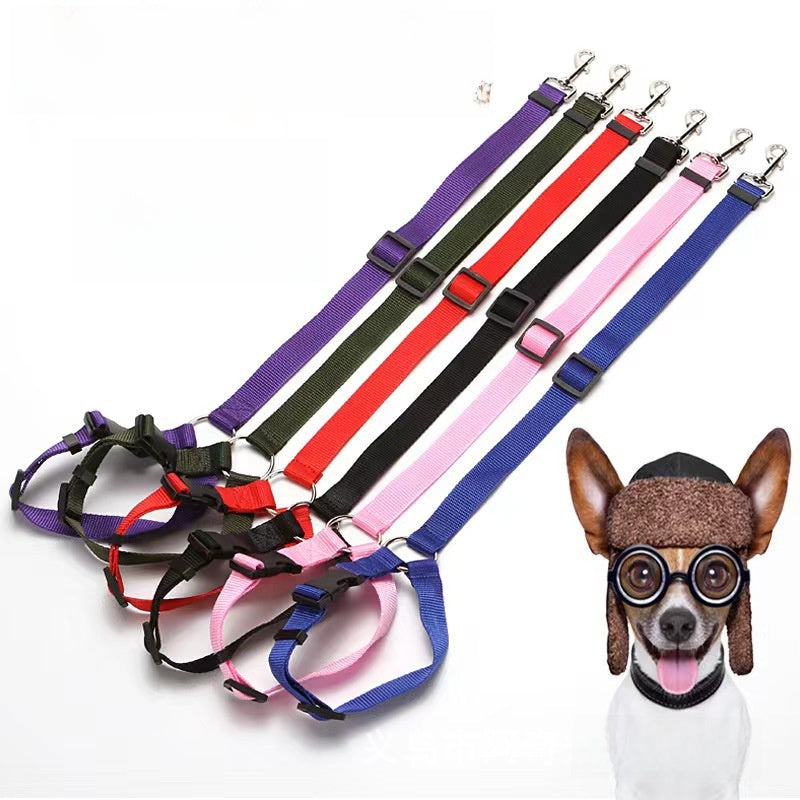 Pet car restraint looped around rear headrest for safe travel