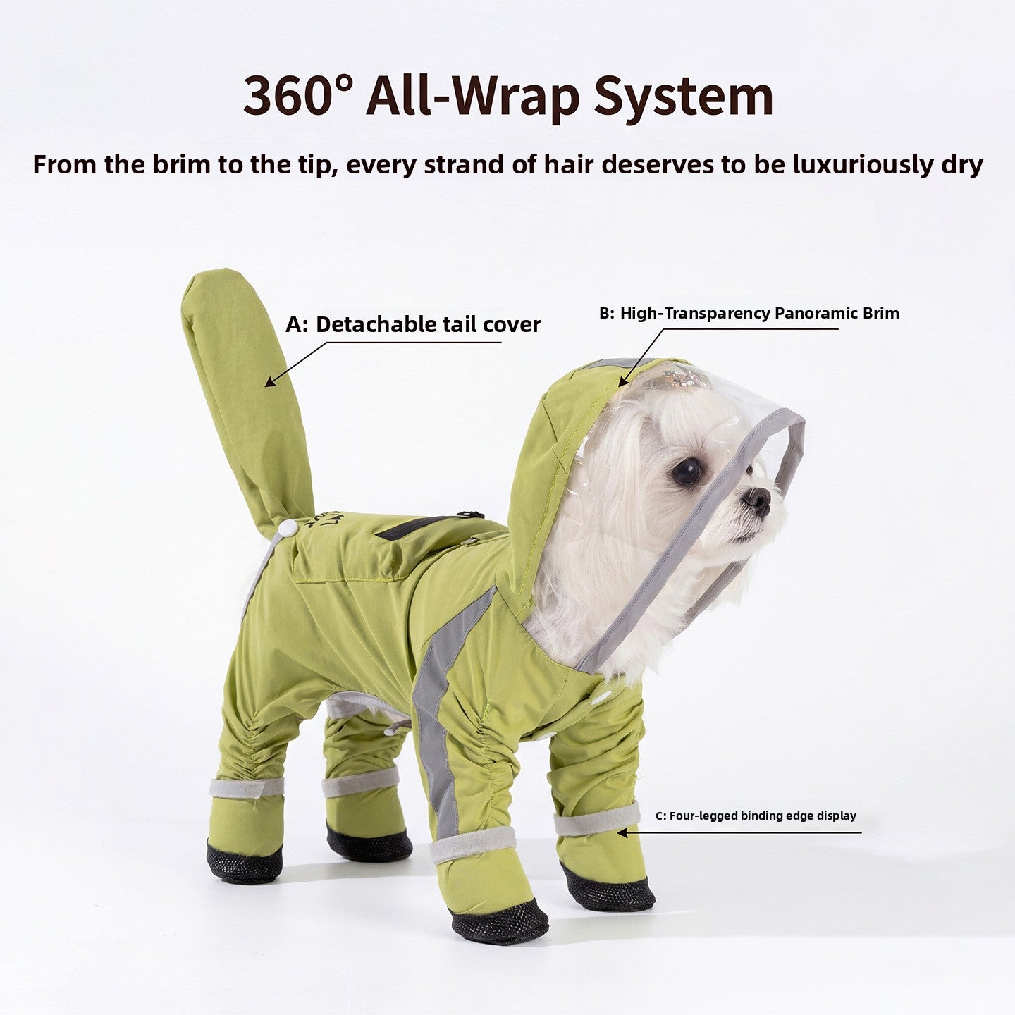 Small dog in a green hooded full cover rain poncho