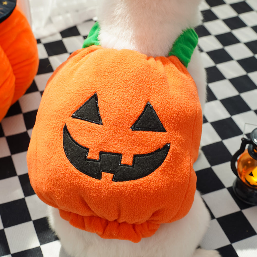 Funny pumpkin Halloween costume for dogs and cats, available in 2 styles, image 6
