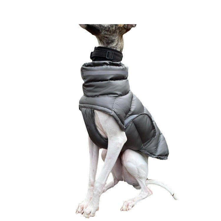 Waterproof padded dog coat with metal buckles, available in 3 colours, image 5