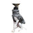 Waterproof padded dog coat with metal buckles, available in 3 colours, image 5