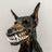Latex dinosaur skull Halloween mask with movable teeth on a dog, view 3