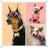 Rhinestone chain pet collar with bone pendant, ideal for everyday use