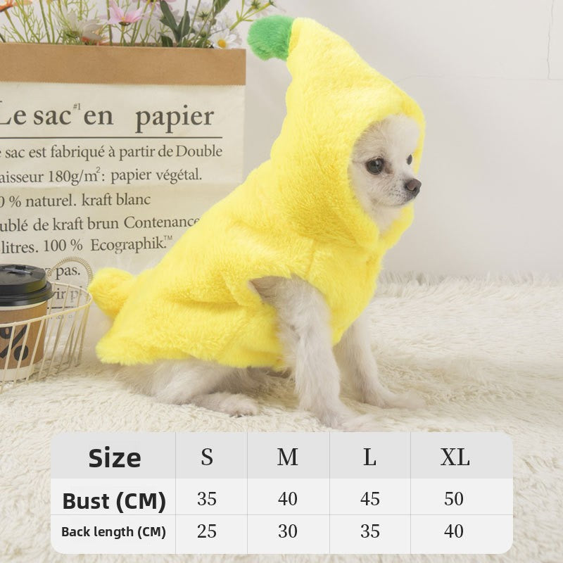 Selection of funny Halloween and Christmas costumes for pets