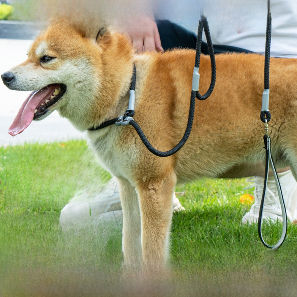 Anti-escape fabric dog slip lead with adjustable loop, product image 5