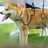 Anti-escape fabric dog slip lead with adjustable loop, product image 5