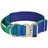 Gradient colour no pull dog harness with matching lead