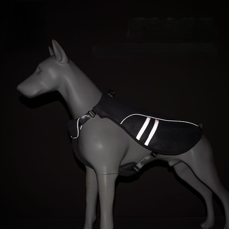Grey cooling dog vest, in Grey, sizes Small to Extra Large, image 2