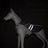 Grey cooling dog vest, in Grey, sizes Small to Extra Large, image 2