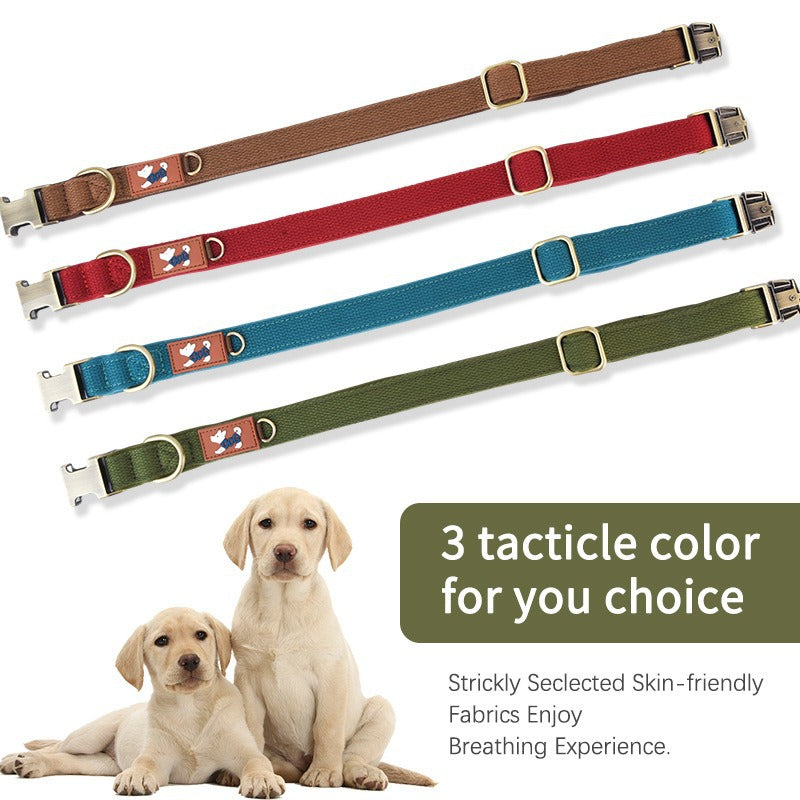 Padded dog collar with cotton lining, 3 sizes available