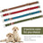 Padded dog collar with cotton lining, 3 sizes available
