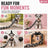 Novelty giant chain look pet lead, ideal for photos and calm strolls