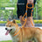 Anti-escape fabric dog slip lead with adjustable loop, product image 1