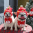 Christmas pet hat and bib for dogs and cats, side view